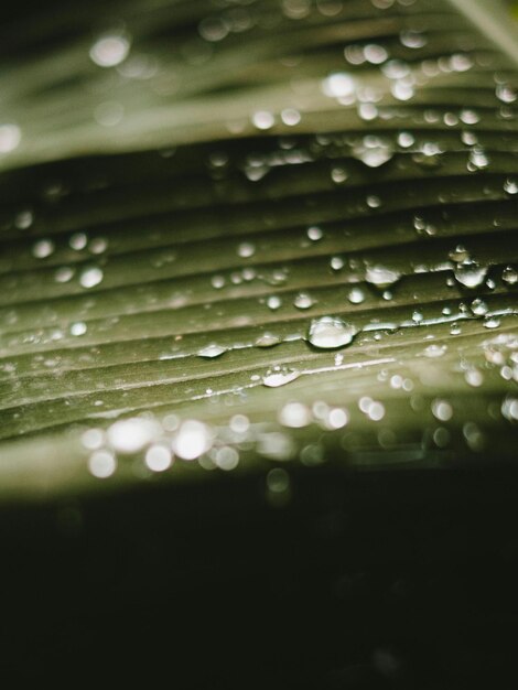 gotas de agua en un pedazo de papel