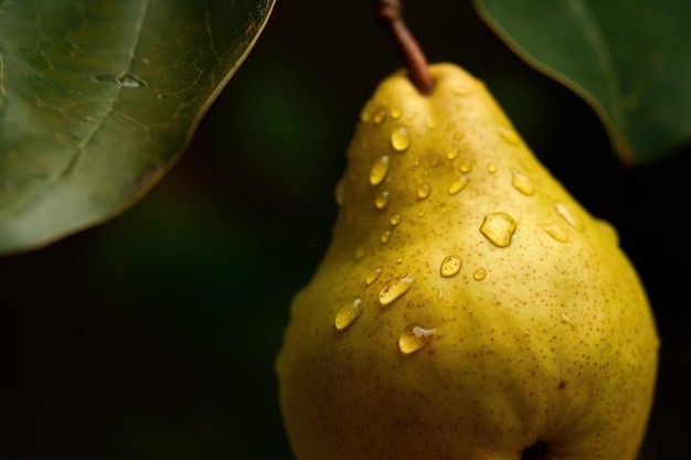 Gotas de agua en una pera