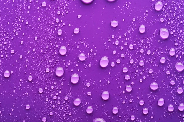 Gotas de agua sobre fondo morado