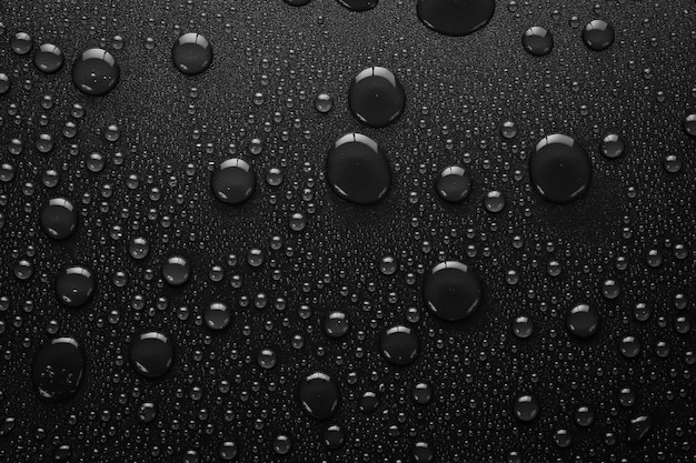 Gotas de agua sobre fondo negro Banner macro negro