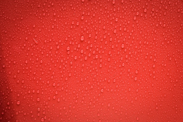 Gotas De Agua Sobre Fondo Rojo.