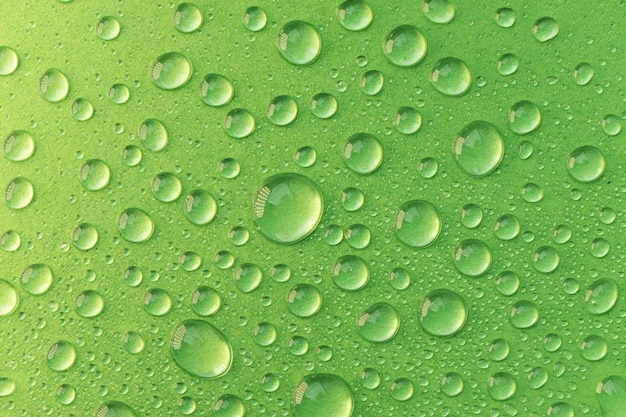Gotas de agua sobre fondo verde Textura de gotas de agua abstracta
