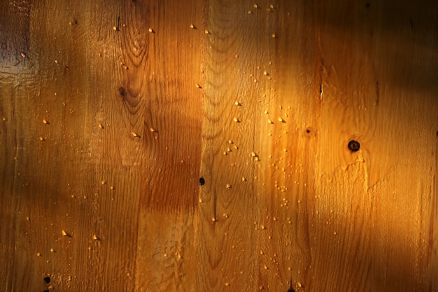 gotas de agua sobre parquet de madera