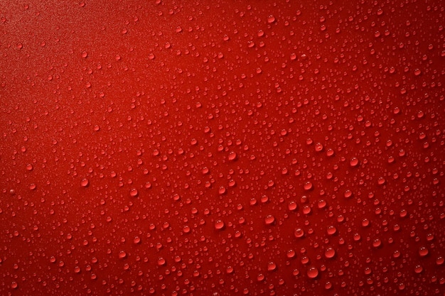 Gotas de agua sobre la superficie roja y negra. Foto macro, gota, base de plástico de sombra.