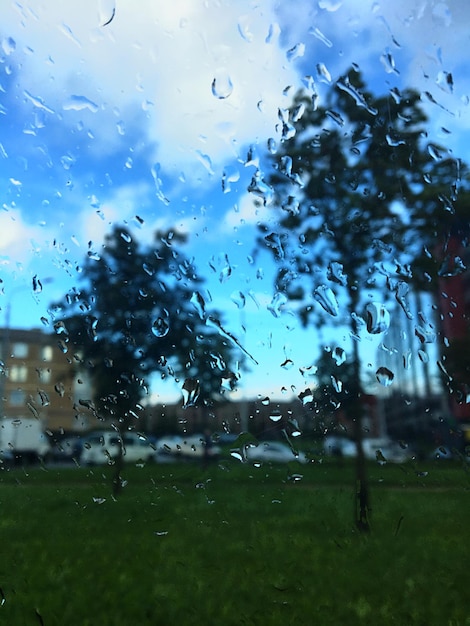 Foto gotas de agua en la ventana de vidrio