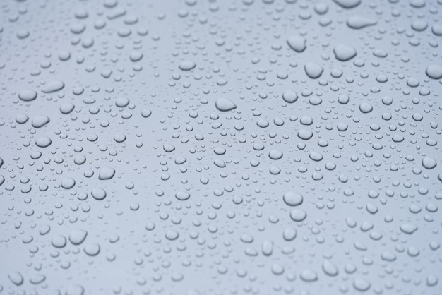 Gotas de condensación sobre una lluvia de fondo gris