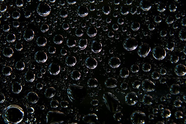 Gotas de água branca fundo preto