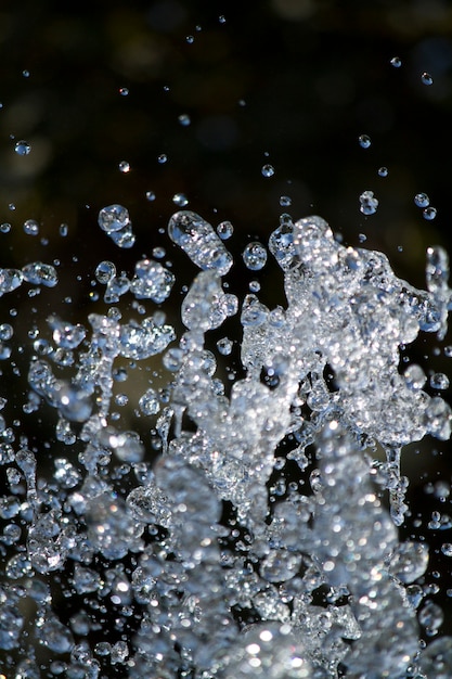 Gotas de água caída