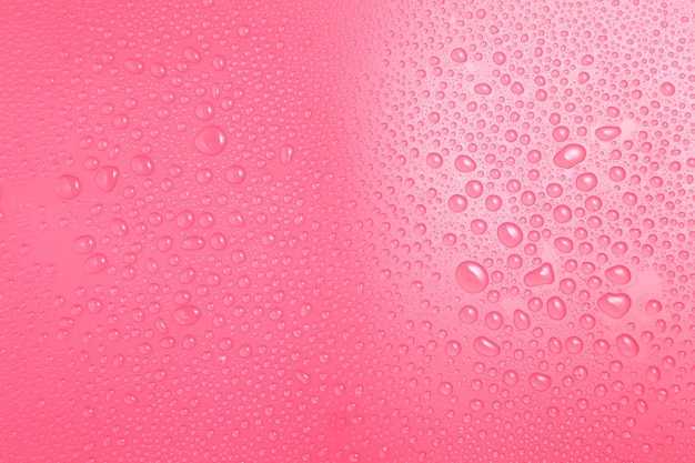 Gotas de água em close em fundo rosa Gota de água em fotografia macro