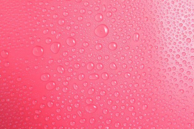 Gotas de água em close em fundo rosa Gota de água em fotografia macro