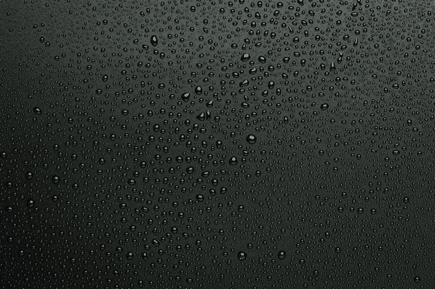 Foto gotas de água em fundo preto