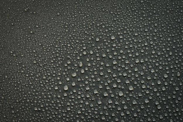 Gotas de água em um fundo preto. Gotas de textura de foto macro.