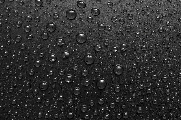 Gotas de água em um fundo preto. Gotas de textura de foto macro.