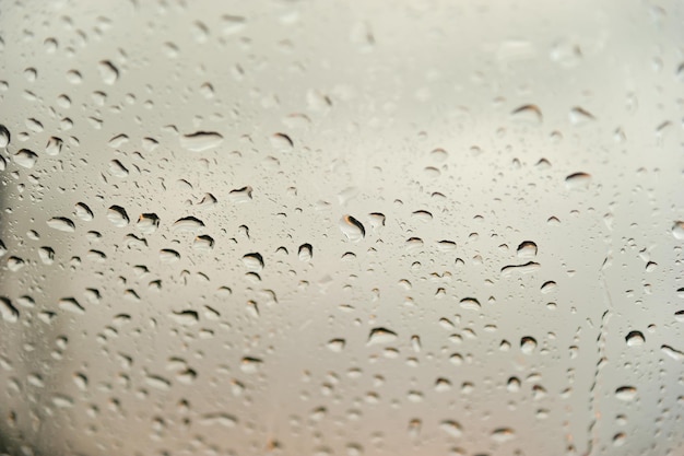 Foto gotas de água em um vidro da janela depois da chuva close-up de gotas de água na folha