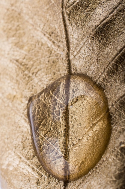 Gotas de água em uma folha pintada de cor dourada