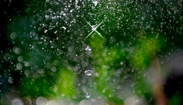 gotas de água estão voando em um fundo verde de verão