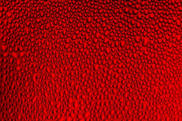 Gotas de água macro no fundo vermelho Gotas de água no fundo vermelho