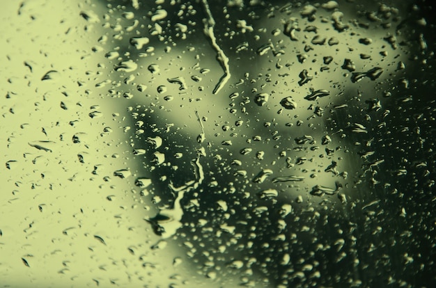 Gotas de água na superfície do vidro. chovendo verde