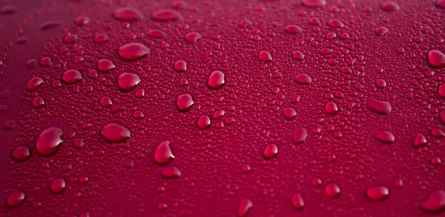 Gotas de água na superfície vermelha. Foto macro, queda, sombra