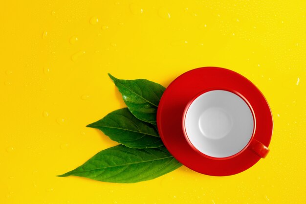 Gotas de água nas folhas e vermelha xícara de café sobre fundo amarelo