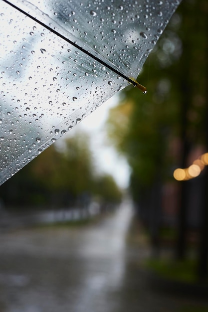 Gotas de chuva caindo do conceito de guarda-chuva transparente para o outono de mau tempo