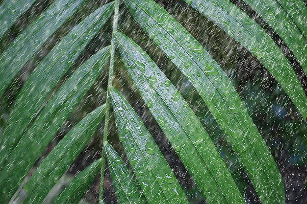 gotas de chuva / conceito de clima úmido, gotas abstratas e jatos de água, chuva de outono