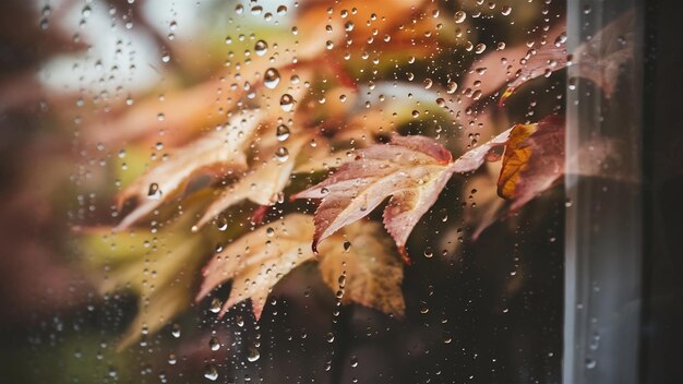 Foto gotas de chuva na janela pano de fundo da estação de outono