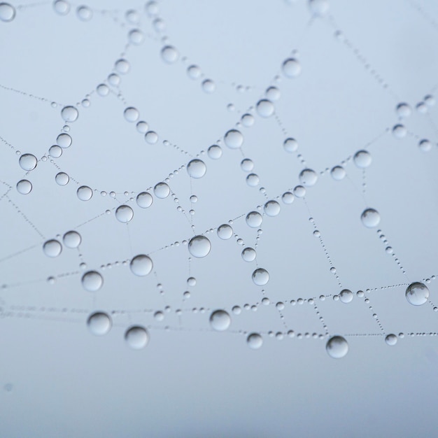 Gotas de chuva na teia de aranha em dias chuvosos, abstrato