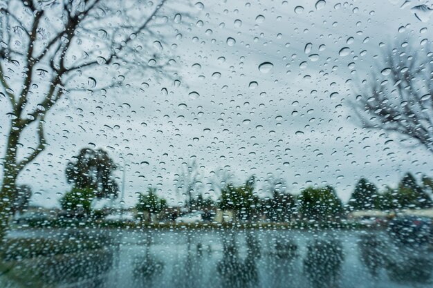 Gotas de chuva nas árvores borradas da janela na profundidade de campo rasa do fundo