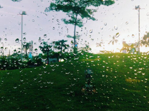 Foto gotas de chuva no vidro