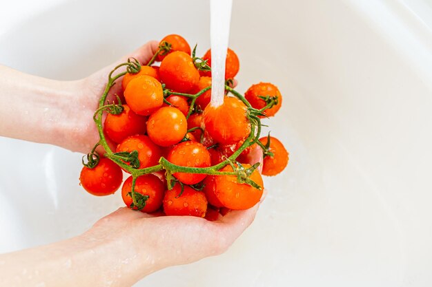 Gotas de jato de água fluem de tomates vermelhos maduros, mãos femininas lavam legumes frescos