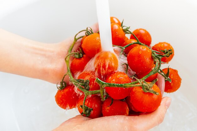 Gotas de jato de água fluem de tomates vermelhos maduros, mãos femininas lavam legumes frescos