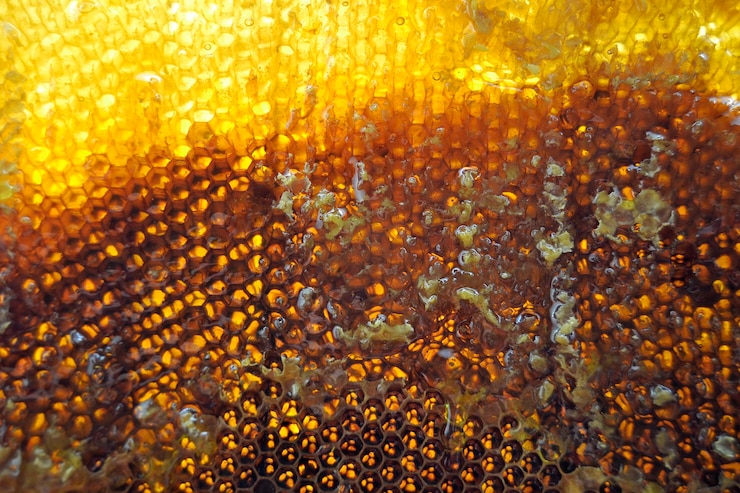 Foto gotas de mel de abelha gotejando de panos hexagonais cheios de néctar dourado composição de verão de panos de mel consistindo em gotas de mel natural gotejando em abelha de estrutura de cera gotas de mel de abelha gotejando em panos de mel