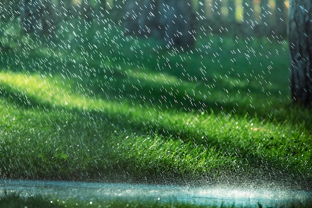 Las gotas de lluvia caen sobre el asfalto y la hierba verde.