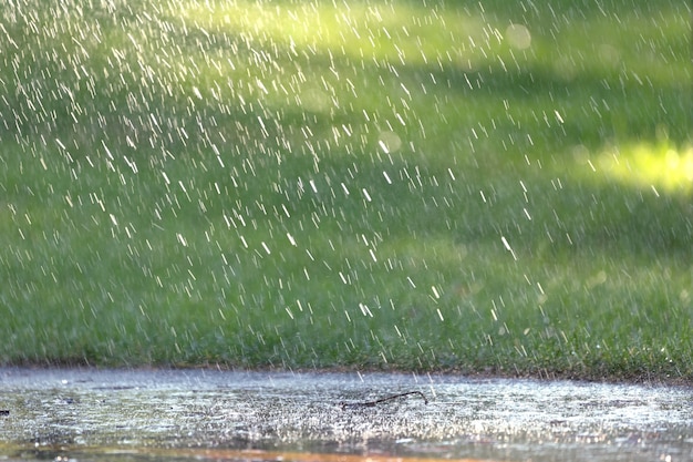 Las gotas de lluvia caen sobre el asfalto y la hierba verde.