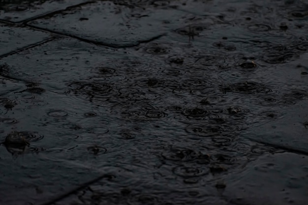 Las gotas de lluvia caen sobre la carretera al atardecer