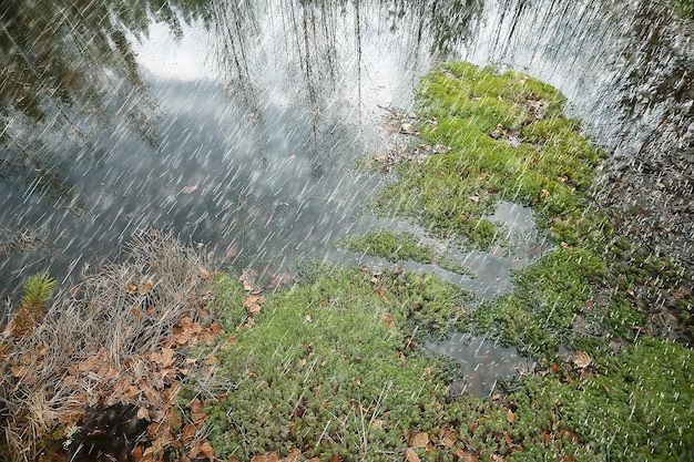 gotas de lluvia / concepto de clima húmedo, gotas abstractas y chorros de agua, lluvia de otoño