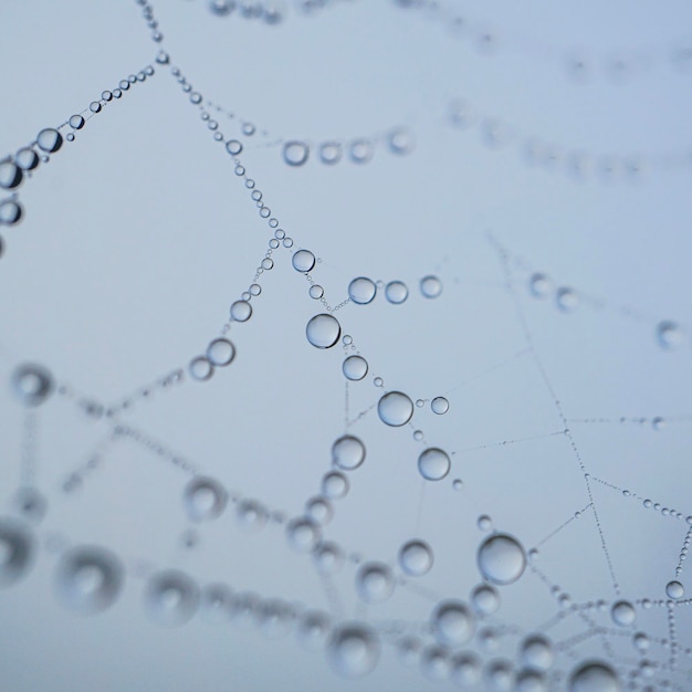 gotas de lluvia en la telaraña en días lluviosos, fondo abstracto