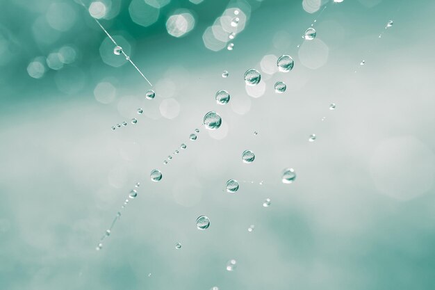 gotas de lluvia en la telaraña en días lluviosos