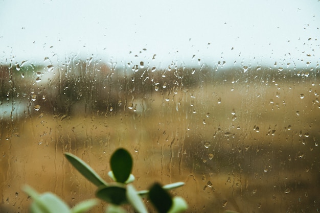 Gotas de lluvia en la ventana. Clima nublado. Otoño o primavera. Fondo y textura.