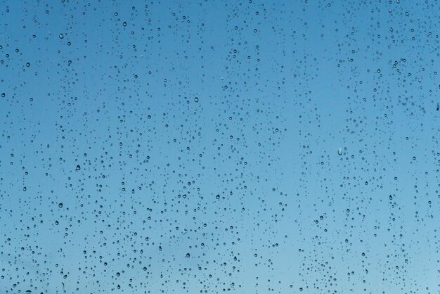 Las gotas de lluvia en la ventana