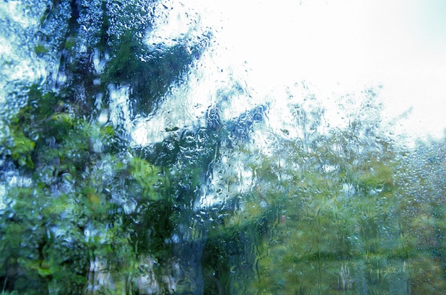 Gotas de lluvia en el vidrio con un fondo verde natural borroso