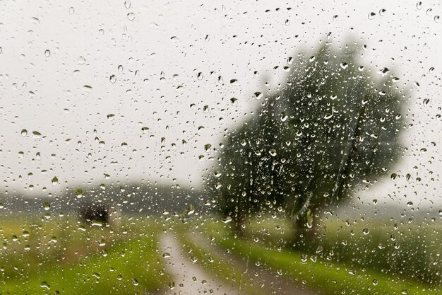 Foto las gotas de lluvia en el vidrio