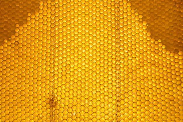 Gotas de miel de abeja gotean desde panales hexagonales llenos de néctar dorado panales de miel composición de verano que consiste en gotas de miel natural gotean en marco de cera abeja gotas de miel de abeja gotean en panales de miel