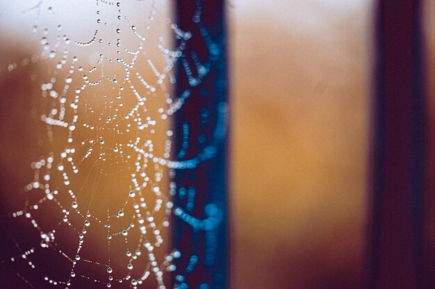 Foto gotas de rocío matinal en una red de araña macro