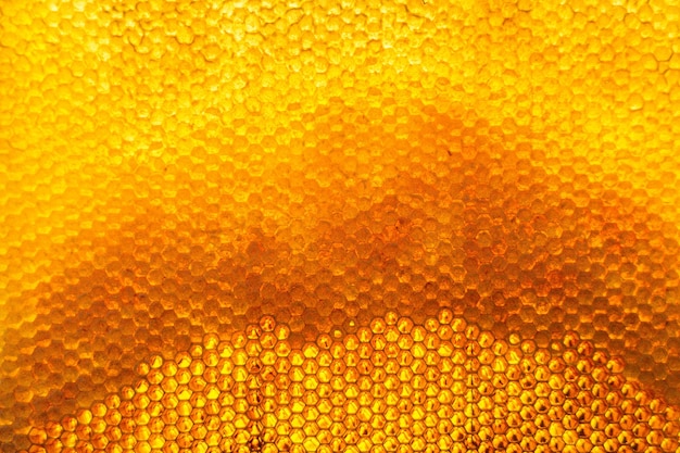 Gotejamento de mel de abelha de favos de mel hexagonais cheios de néctar dourado Composição de verão de favos de mel que consiste em gotejamento de mel natural em moldura de cera de abelha Gotejamento de mel de abelha em favos de mel