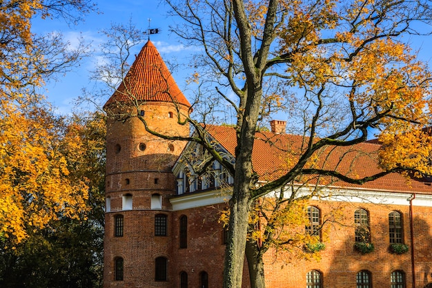 Gotik-Renaissance-Herrenschloss und Garten von Raudondvaris