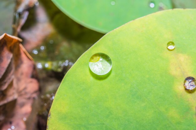 Gotitas de agua