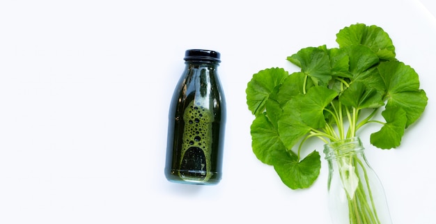 Gotu kola hojea bebida de jugo para la salud en la superficie blanca