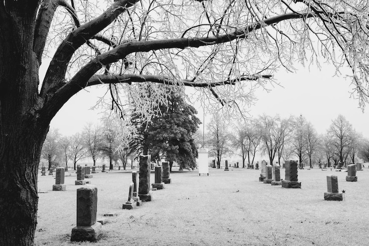 Foto grabsteine und nackte bäume auf dem friedhof
